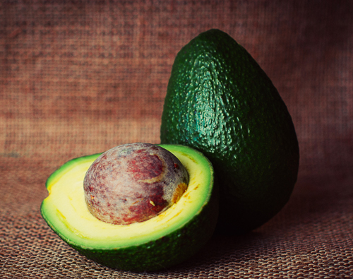 Avocado - Alimento Particolarmente Tossico Per Le Calopsiti